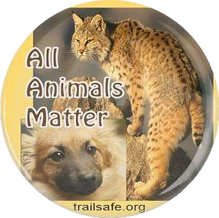 All Animals Matters